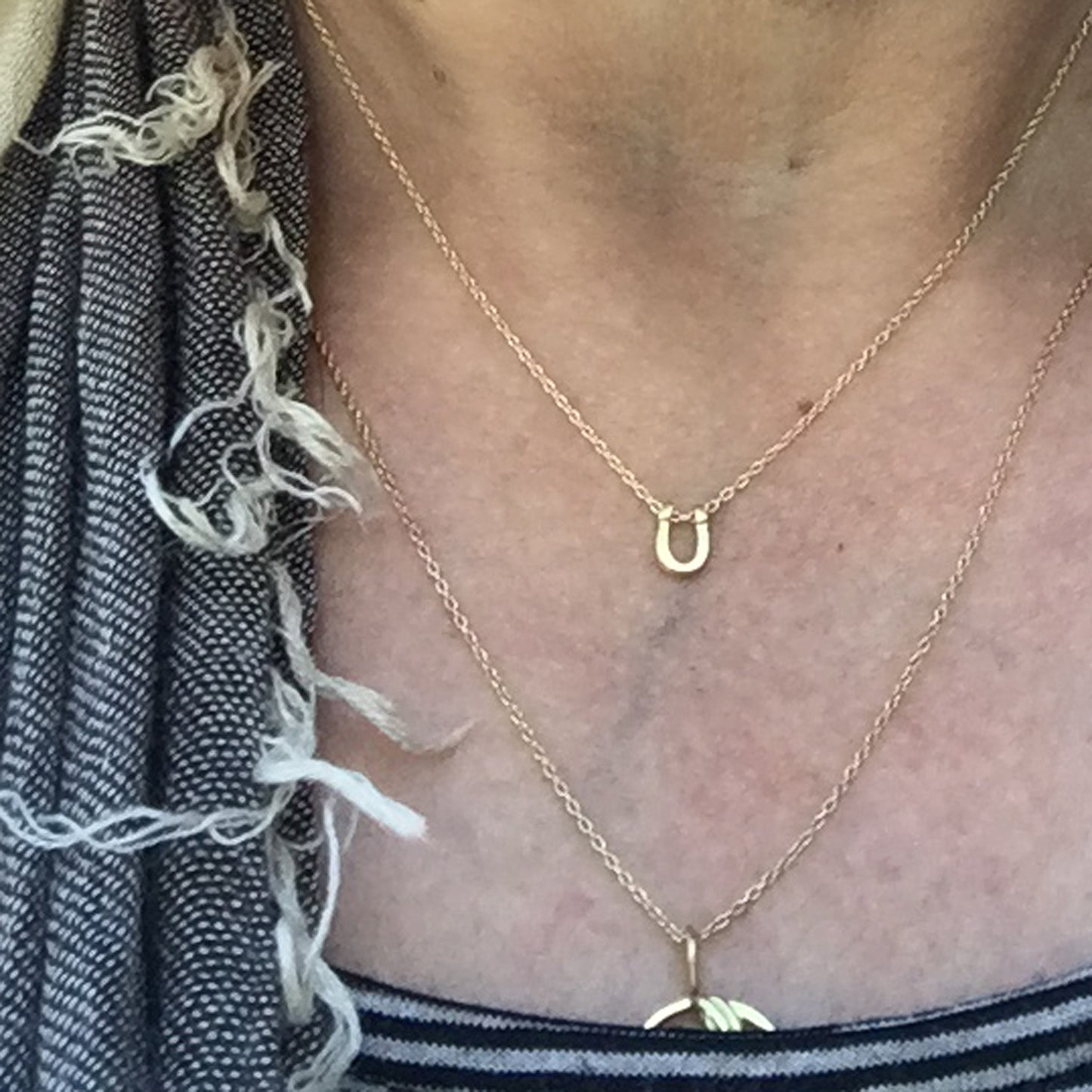 Micro Horseshoe on neck